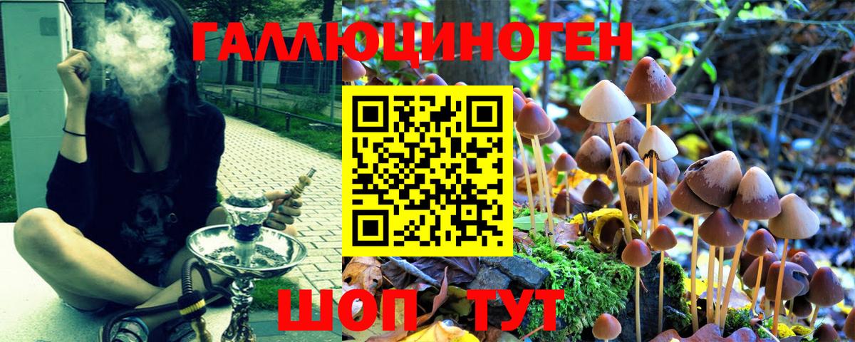 Нефтекумск  Псилоцибиновые грибы ЛСД  Вход с VPN 